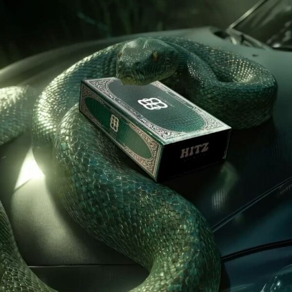 HITZ COLLABORATION WITH OTHER BRANDS